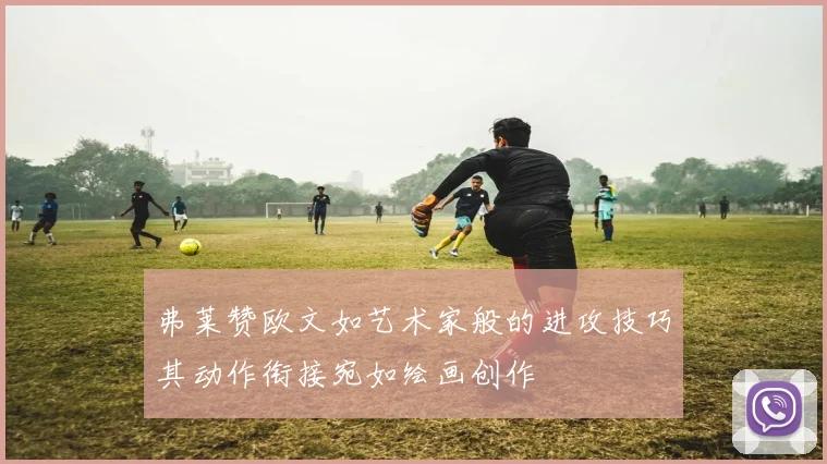 弗莱赞欧文如艺术家般的进攻技巧其动作衔接宛如绘画创作